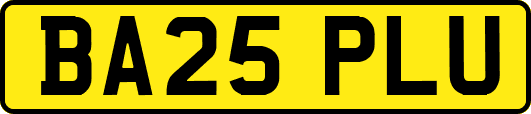 BA25PLU