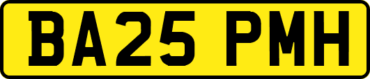 BA25PMH