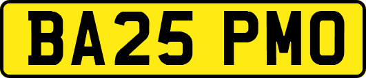BA25PMO