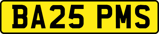 BA25PMS
