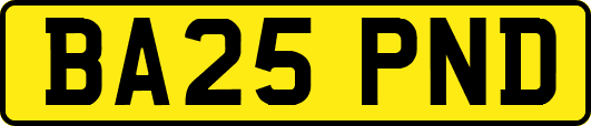 BA25PND