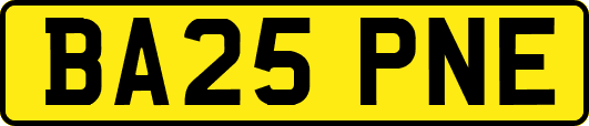 BA25PNE