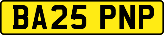 BA25PNP