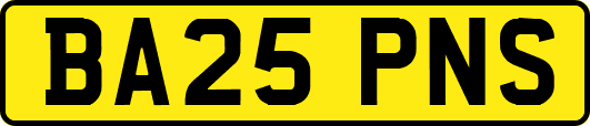 BA25PNS