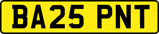 BA25PNT