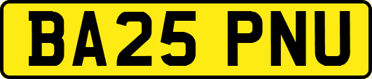 BA25PNU