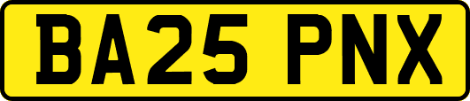 BA25PNX
