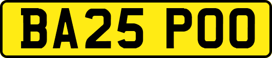BA25POO