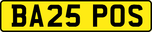 BA25POS