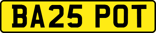BA25POT