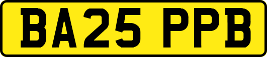 BA25PPB