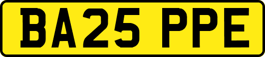 BA25PPE