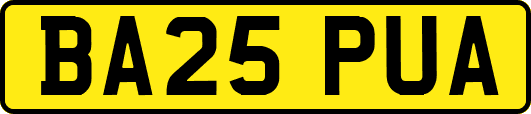 BA25PUA