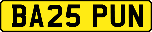 BA25PUN