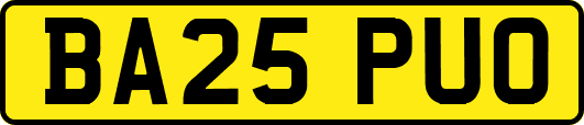BA25PUO