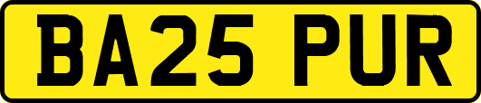 BA25PUR