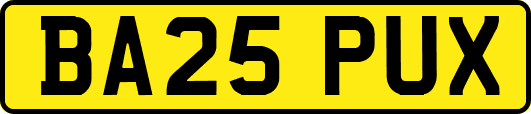 BA25PUX