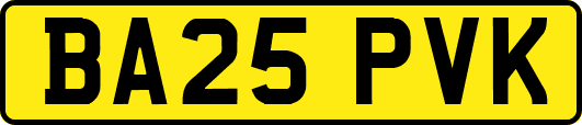 BA25PVK