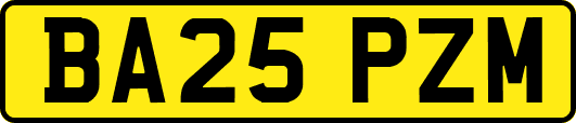 BA25PZM