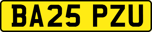 BA25PZU