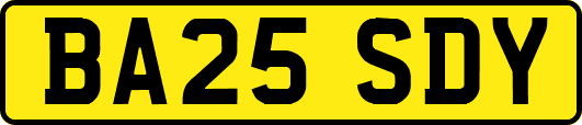 BA25SDY