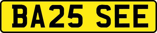 BA25SEE