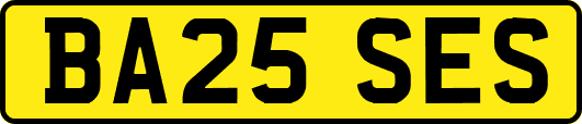 BA25SES