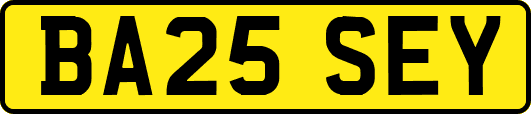 BA25SEY