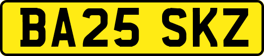 BA25SKZ