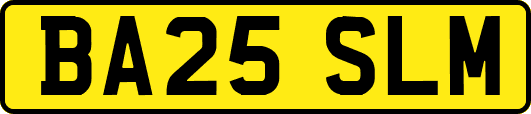 BA25SLM