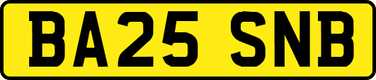 BA25SNB