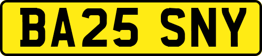 BA25SNY