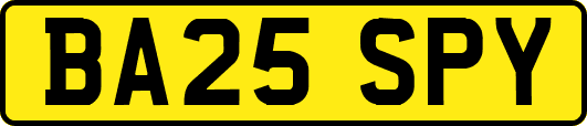 BA25SPY