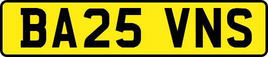 BA25VNS