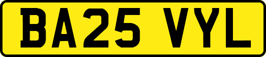 BA25VYL