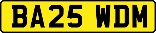 BA25WDM