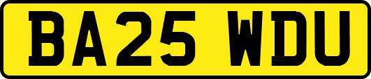 BA25WDU