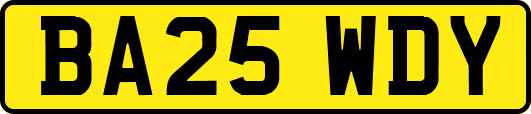 BA25WDY