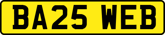 BA25WEB