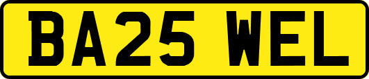 BA25WEL