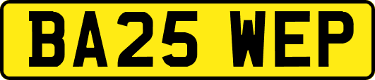 BA25WEP