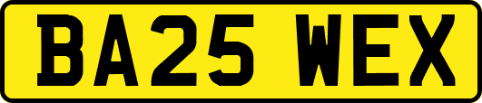 BA25WEX