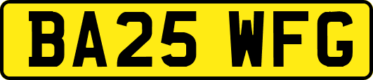 BA25WFG