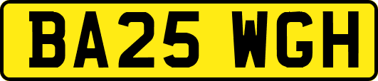 BA25WGH