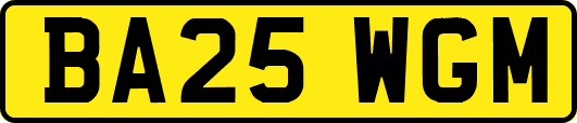 BA25WGM
