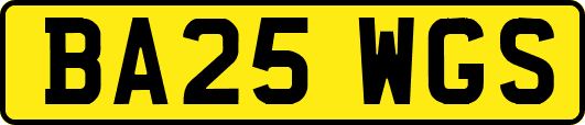 BA25WGS