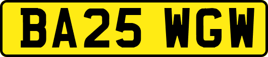 BA25WGW