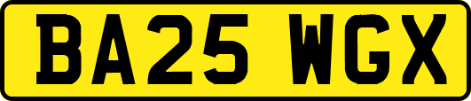 BA25WGX