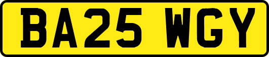 BA25WGY