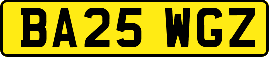 BA25WGZ